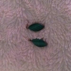 Stone earrings- malachite will accept offers